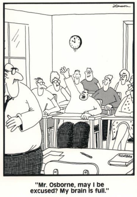 image of far side cartoon